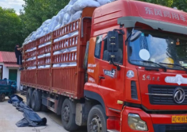 成都到江门物流公司_成都到江门整车运输公司